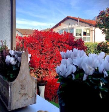 Olympia by the lake