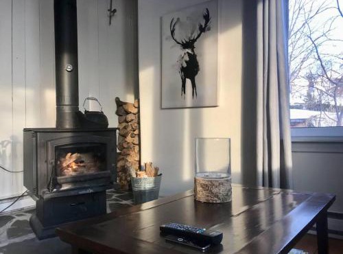 Om chalet 2 avec spa et foyer bordé du fleuve