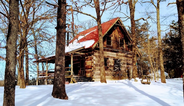 Oma's Cabin on Arkansas River - cozy remote cabin overlooking the Arkansas River