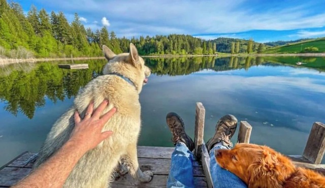 Oma’s Lakefront Cottage: Fish/Boat/Swim from dock