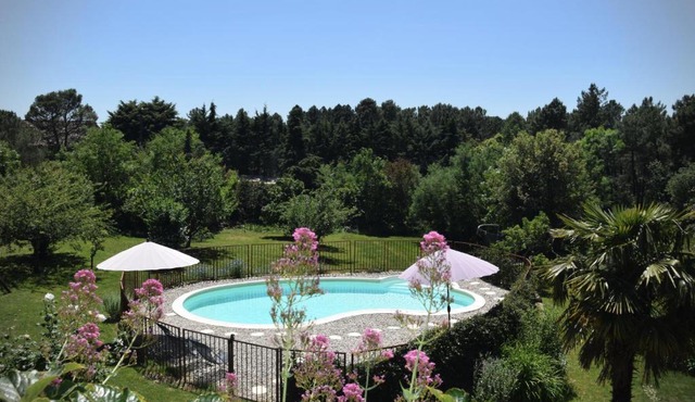 Ombre Bleue Du Figuier, Ailhon