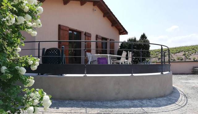 On a viticultural estate