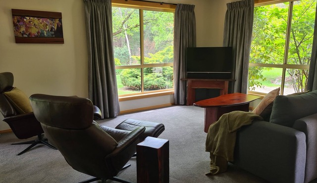 On beautiful Delany Avenue