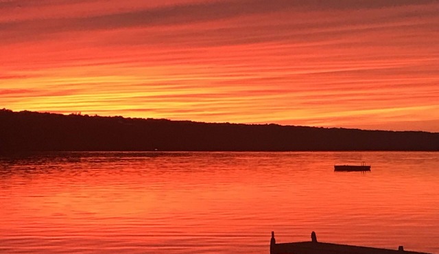 ON LAKE! Peaceful Private Level Beach, Pet Friendly,Stream,Dock,Woods,Rowboat!