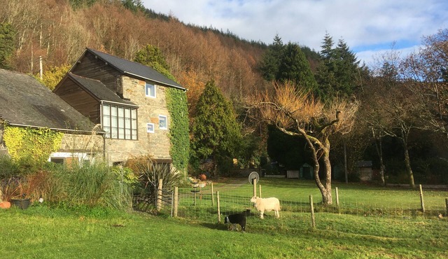 On Mawddach estuary Snowdonia pets welcome Certificate of Excellence Tripadvisor