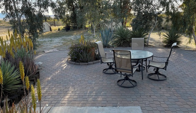On private horse ranch, dogs welcome.