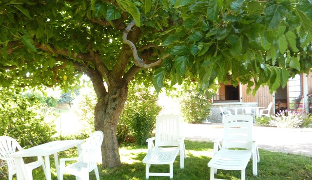 On the ground floor of the owner's house apartment. pleasant