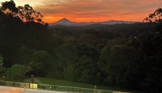 On the 11 th January I broke my ankle in 3 places . Guests were shocked !