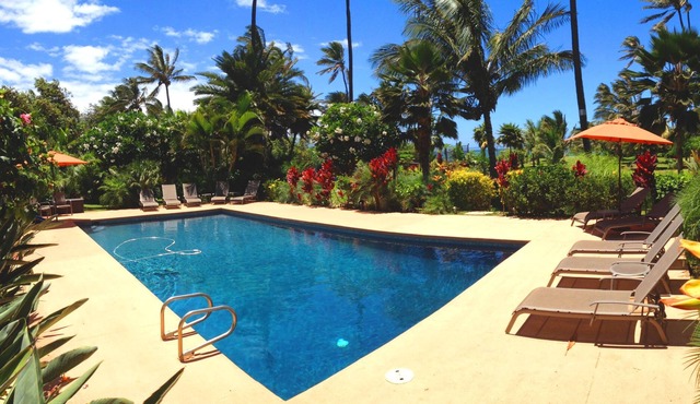 On the Beach! Luxury Private Villa 4bdrm, Pool, Maid service incl.