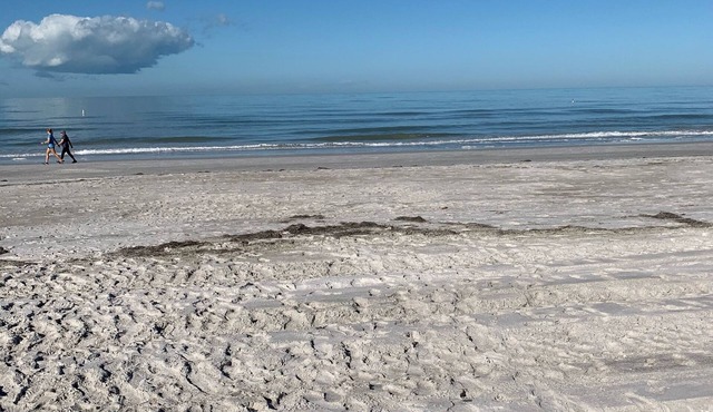 On the beach.pool. Ground floor cottage with NO hurricane damage.