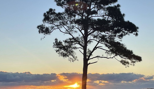 On the Currituck Sound