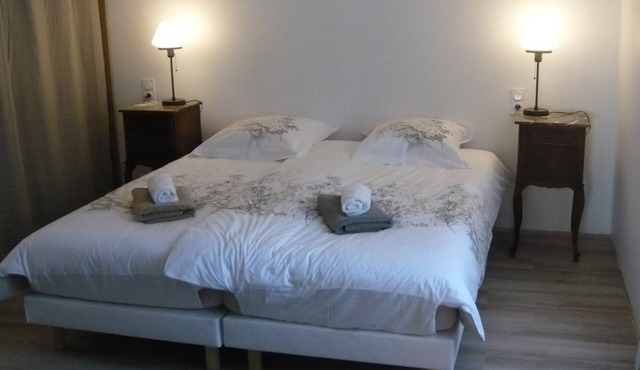 On the edge of a bike path. F3 90m2 STRASBOURG . Air-conditioned, Jacuzzi.