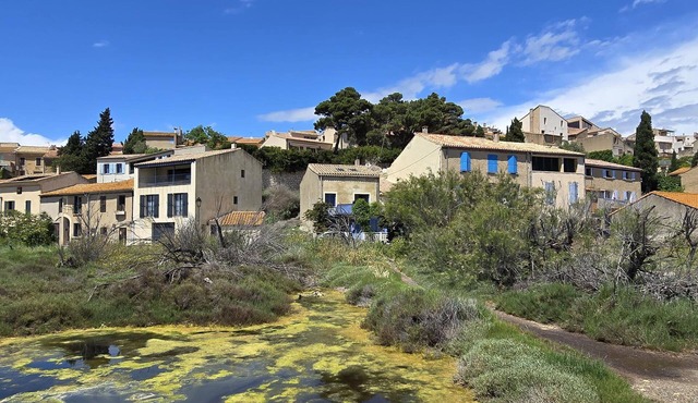 On the edge of a salt pond, house with terrace facing the water and pink flamingos