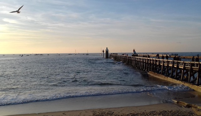 On the fishing and sailing port, Beaches at 400m; Shopping Capbreton Hossegor