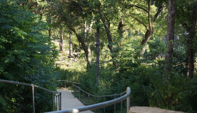 On the Guadalupe! Few Doors down to Gruene Hall, shops and more! Walk to River!