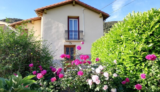 On the heights of Céret, house set in greenery with a lovely view.