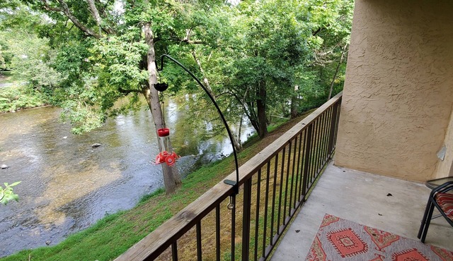 On the Little River in the heart of Townsend, with a beautiful view!