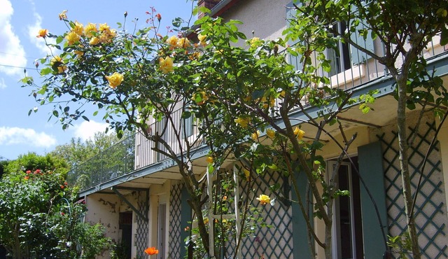 On the "Loire à vélo" route, between Loire and Canal Latéral à la Loire