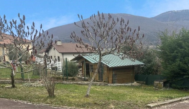 On the mount of calm angels