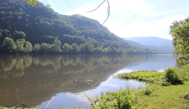 On the New River, Huge Porch, Well-Equipped Kitchen, WiFi, Pet-Friendly
