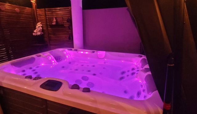 On the outskirts of Périgueux among the pines in a quiet garden SPA optional