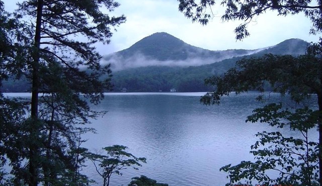 On the Point: Sept.- Nov. incl Thnxgvng Discount! 3+ Nite special! 6 B/R,4.5 Bth