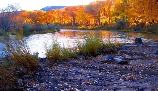 On the Rio Grande River! Rinconada Rio Grande Retreat