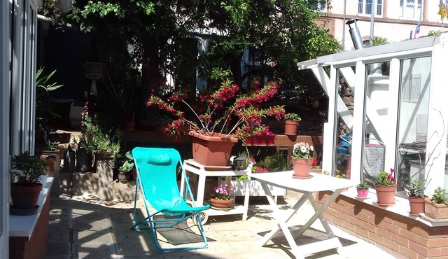 On the wine road close to Strasbourg