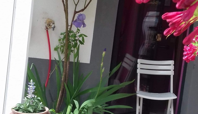 On the Wine Route Studio between Strasbourg and Colmar