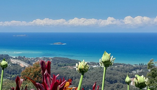 ON TOP OF THE WORLD Garden StudionPanoramic Ocean Views, Close to Town & Beaches