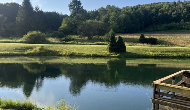 On Wyman Pond. Home on sprawling property with a pond, hiking & wildlife.