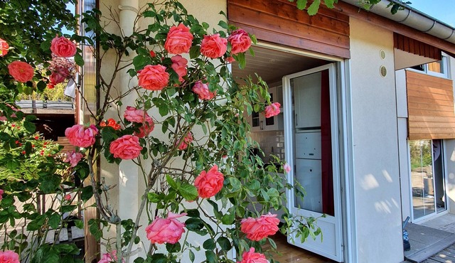 On your terrace at the foot of an oak tree, feel the Alsace's vibes !