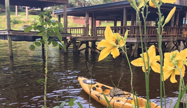 Once in a Lifetime Toledo Bend