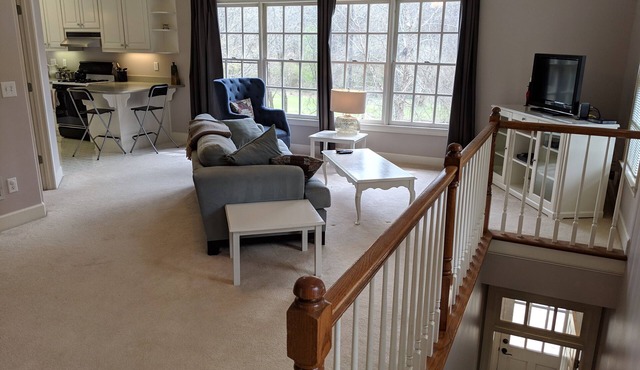 One bdrm fully furnished apartment on quiet, wooded 2 acre lot in Sandy Springs
