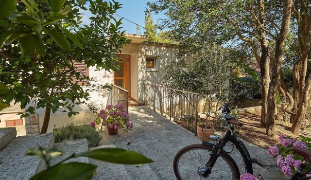 One bedroom apartment near beach Sobra, Mljet (A-22343-b)