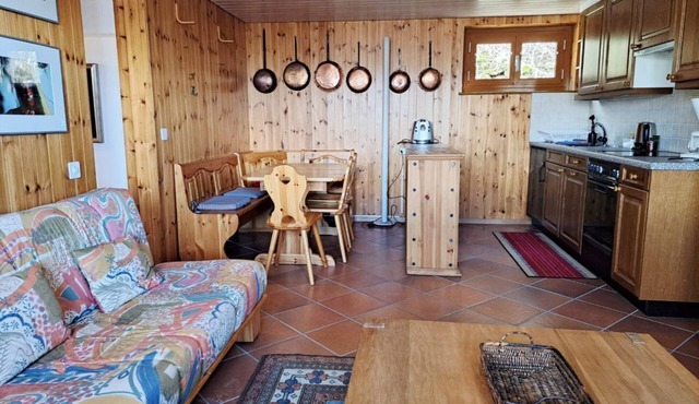 One-Bedroom Apartment in Leventina (Alaska Apartment)
