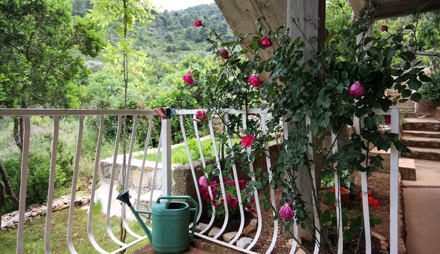 One bedroom apartment near beach Prožurska Luka, Mljet (A-4940-a)