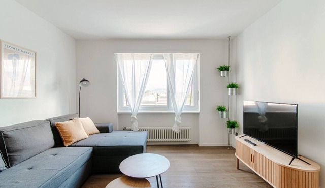 One-bedroom apartment 10 minutes from Mendrisio (Roseto Apartment)