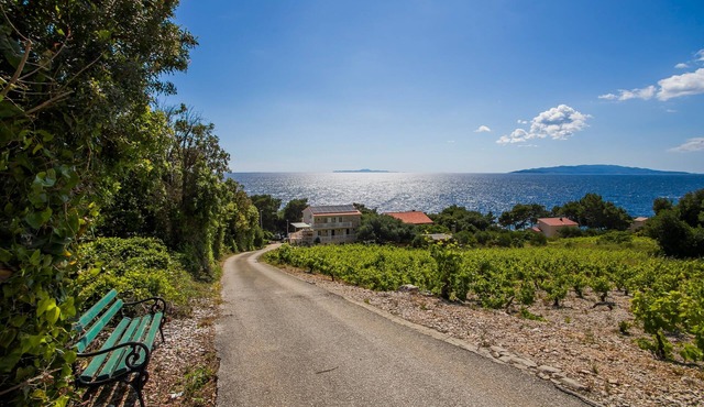 One bedroom apartment near beach Dingač - Borak (Pelješac) (A-18060-e)