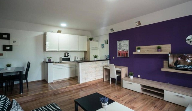 One bedroom apartment with terrace
