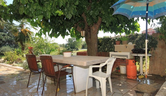 One bedroom apartment with terrace Bašanija, Umag (A-7149-c)
