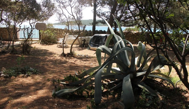 One bedroom apartment near beach Artatore, Lošinj (A-7935-c)