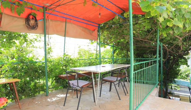 One bedroom apartment with balcony and sea view Gradac, Makarska (A-21172-a)