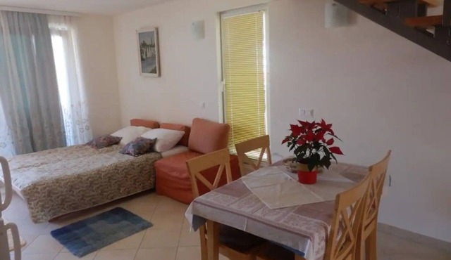 One bedroom apartment with balcony and sea view Gradac, Makarska (A-21172-b)