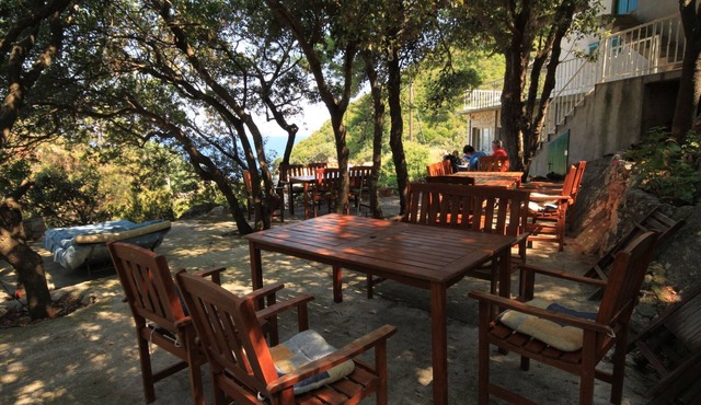 One bedroom apartment with terrace and sea view Lučica, Lastovo (A-990-b)