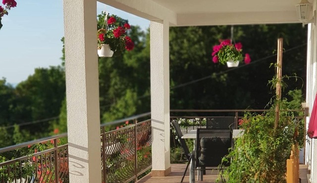 One bedroom apartment with terrace and sea view Lovran, Opatija (A-24675-d)