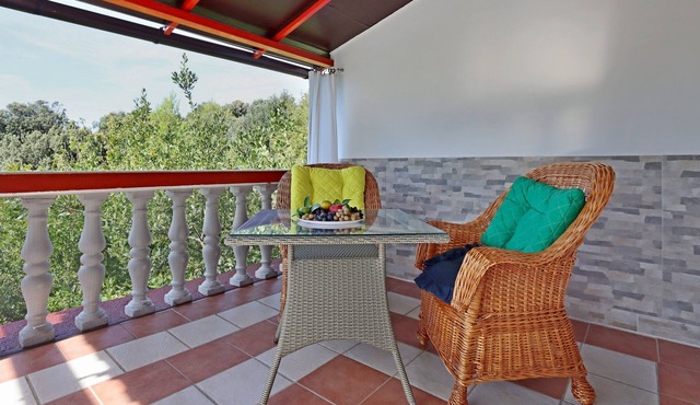 One bedroom apartment with terrace and sea view Lopar, Rab (A-18001-b)