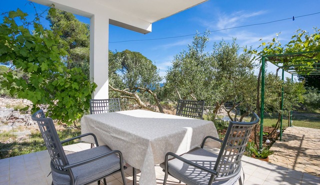 One bedroom apartment with terrace and sea view Cove Smrčeva, Brač (A-20193-a)