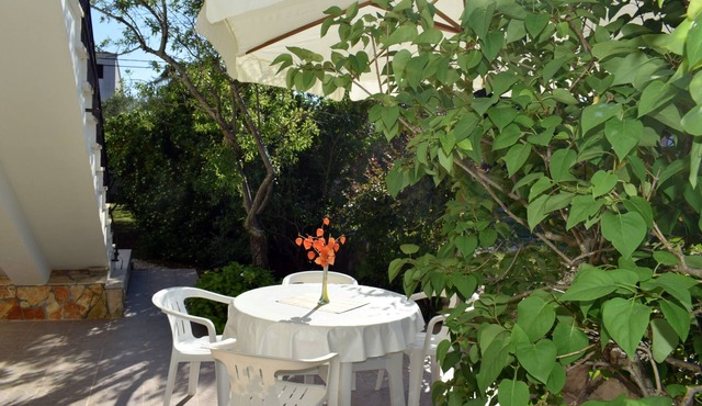 One bedroom apartment with terrace Ugljan (A-8493-b)