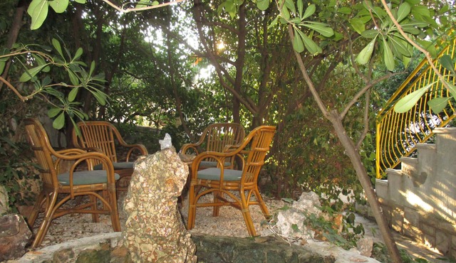 One bedroom apartment with terrace and sea view Ivan Dolac, Hvar (A-4584-d)